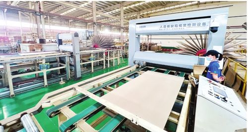 智改數(shù)轉驅(qū)動產(chǎn)業(yè)革新 豐林集團人造板產(chǎn)銷量激增超20%